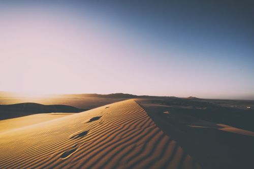 nature landscape desert