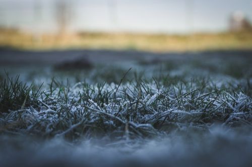 nature grass landscape