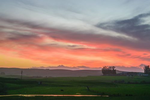 nature landscape prairie