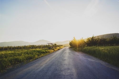 nature landscape paths