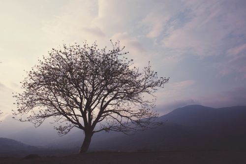 nature landscape mountains