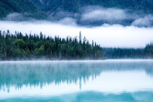 nature landscape water