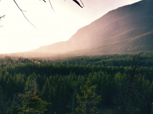 nature landscape mountains