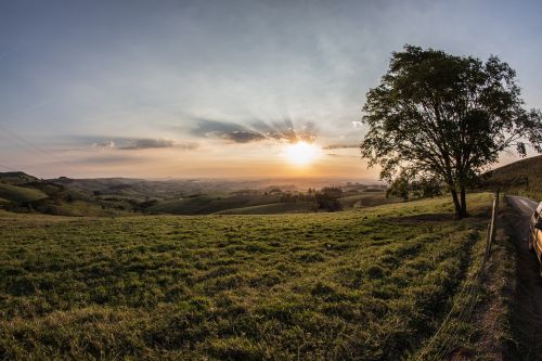 nature landscape plains