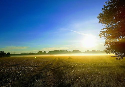 nature fog landscape