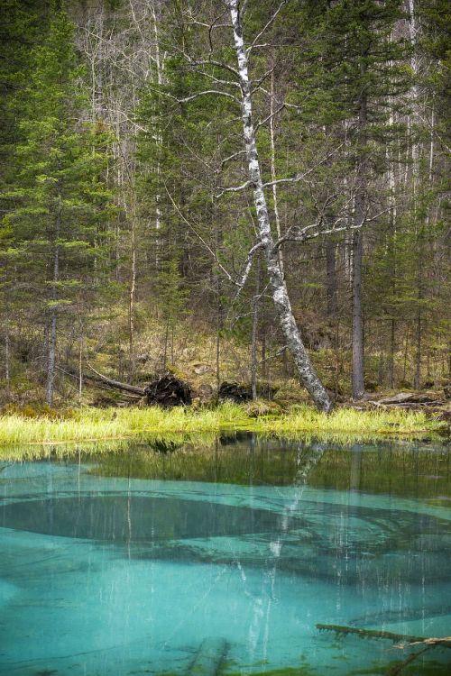 nature lake spring lake