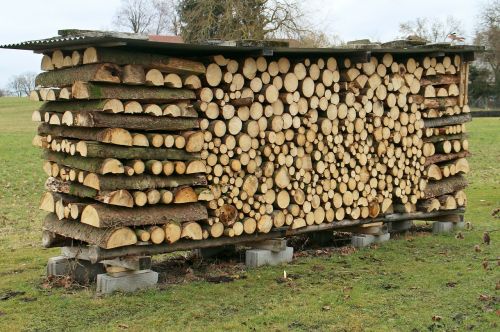 nature wood firewood
