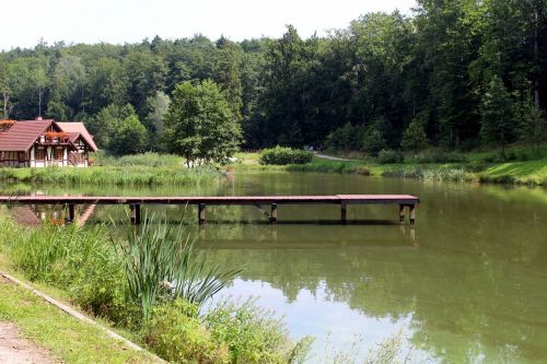 nature landscape water