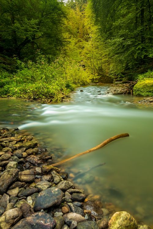 nature water bach