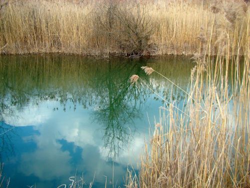 nature lake water