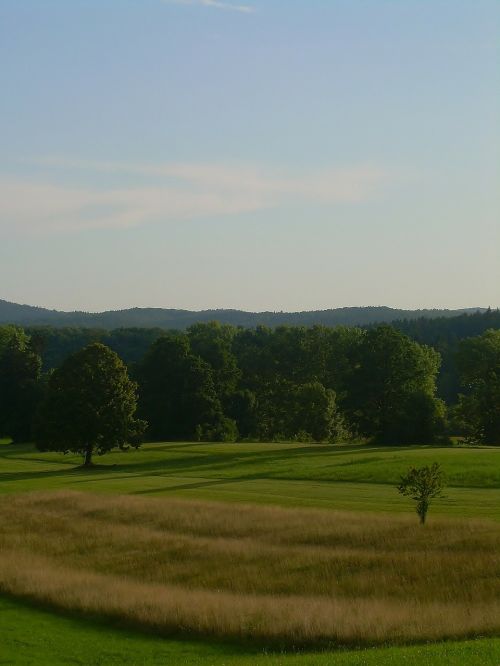 nature summer field