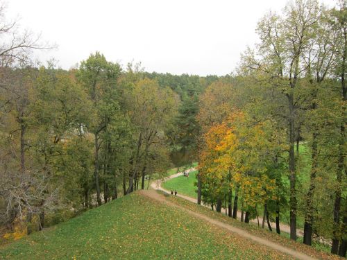 nature autumn landscape