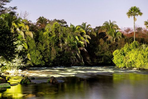 nature rio landscape