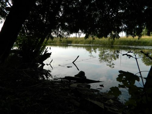 nature idyll idyllic