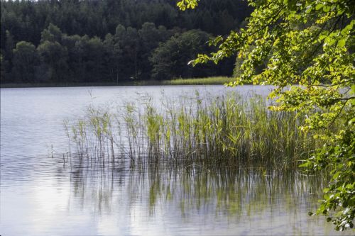 nature lake view