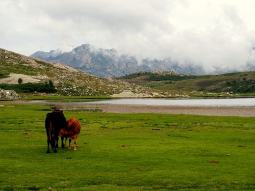 nature corsica france