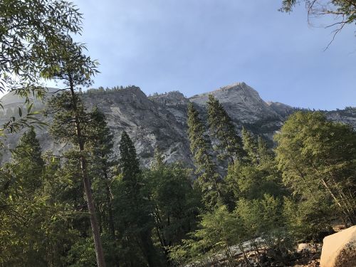 nature cliffs trees