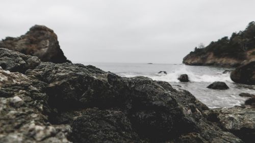 nature ocean muir beach