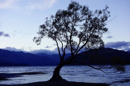 nature new zealand wanaka