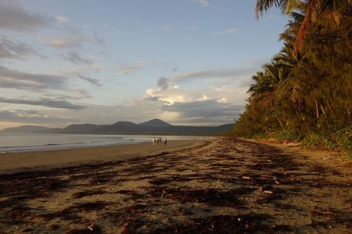 nature australia port douglas