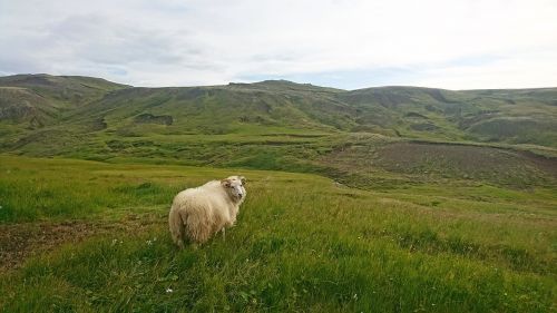 nature iceland travel