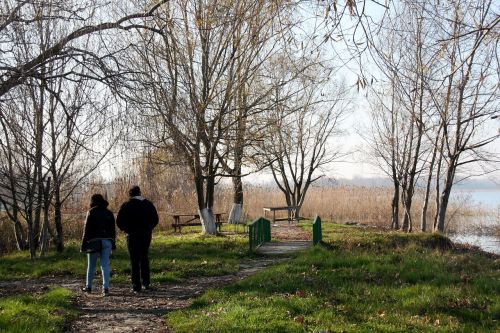 nature walk trees