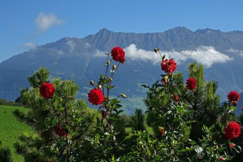 nature landscape mountains