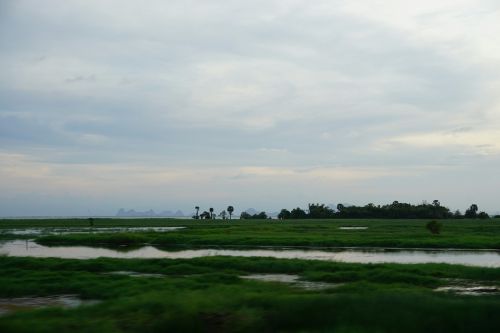 nature view river