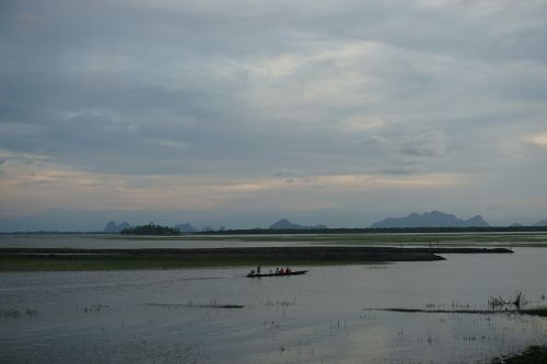 nature view river