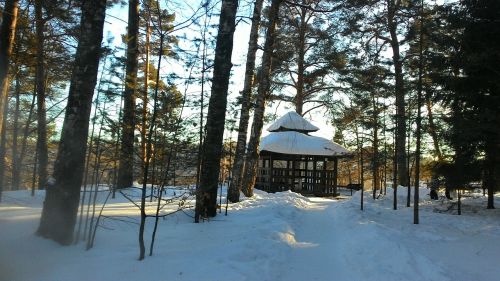 nature rybinsk kstovo