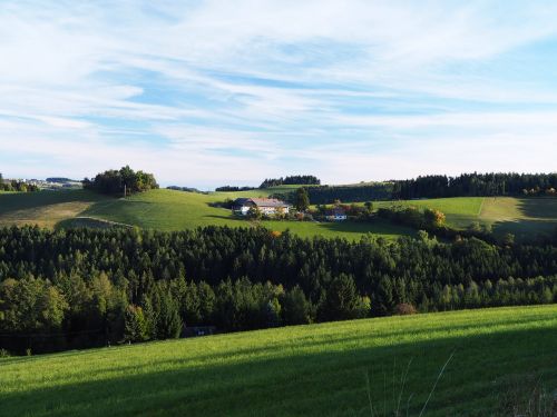 nature meadow bucklige welt