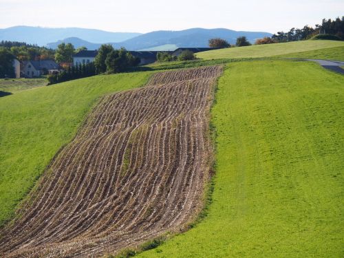 nature meadow lower austria