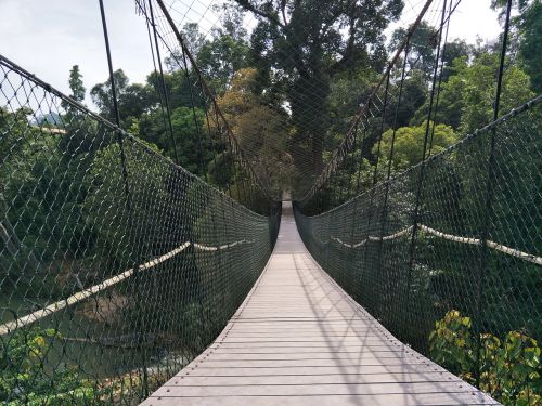 nature bridge tropical