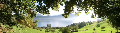 nature weggis lake lucerne region