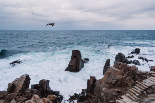 nature black black sea