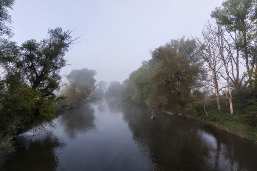 nature fog autumn