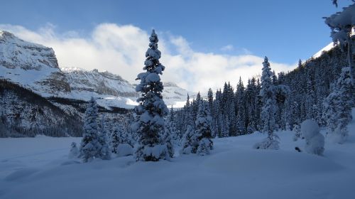 nature alberta canada