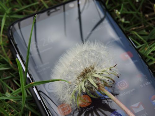 nature technology mobile phone