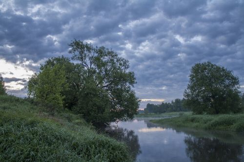 nature russia summer