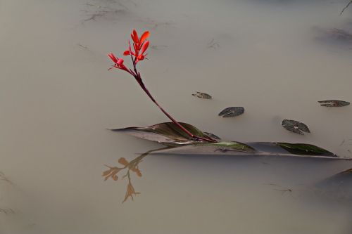 nature the body of water some people don't