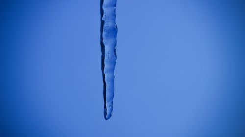 nature icicle winter