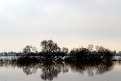 nature waters reflection