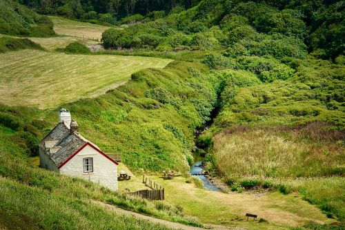 nature landscape grass