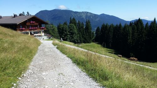 nature mountain grass