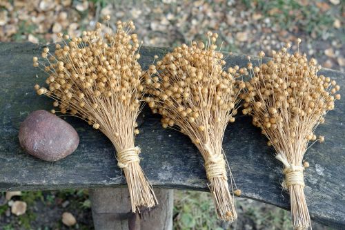 nature flax bouquet