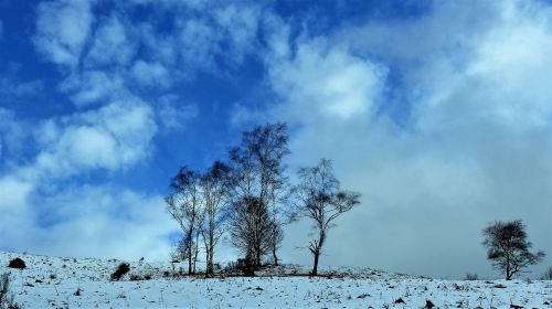 nature winter landscape