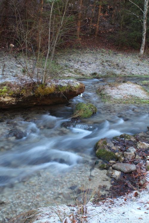 nature water stream