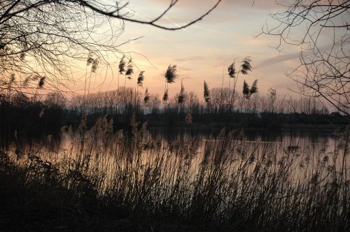 nature landscape reflection