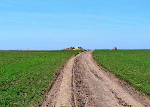 nature field landscape