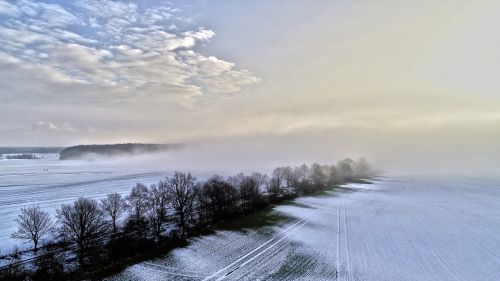 nature winter panorama